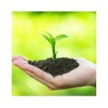Abonos de Jardin y Huerta